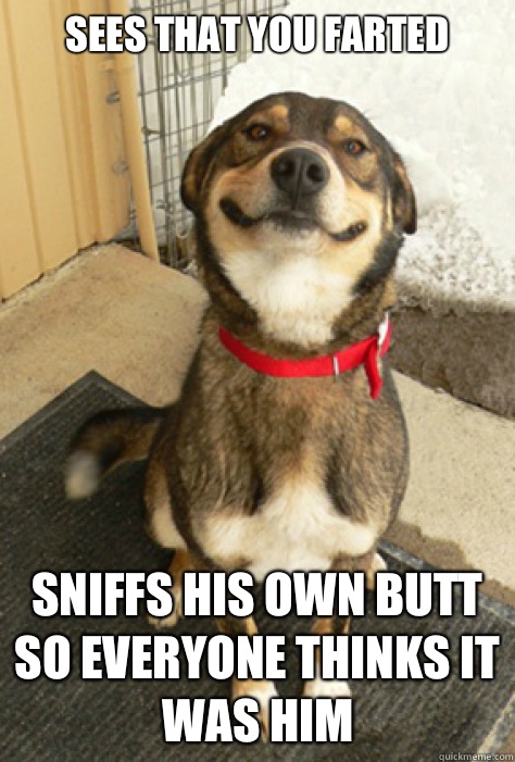 Sees that you farted Sniffs his own butt so everyone thinks it was him  