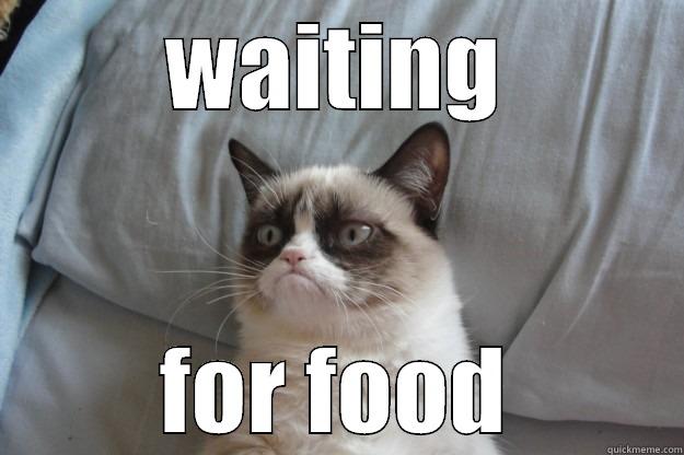 waiting for food... - WAITING FOR FOOD Grumpy Cat
