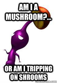 Am I a mushroom?... or am I tripping on shrooms - Am I a mushroom?... or am I tripping on shrooms  High Mushroom Pikmin
