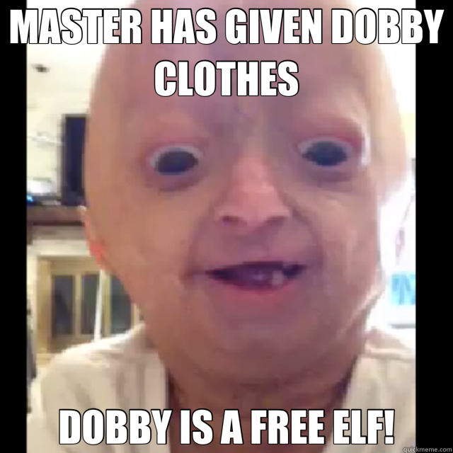 MASTER HAS GIVEN DOBBY CLOTHES DOBBY IS A FREE ELF!  