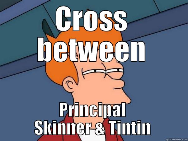 Skinskin & Tinner - CROSS BETWEEN PRINCIPAL SKINNER & TINTIN Futurama Fry