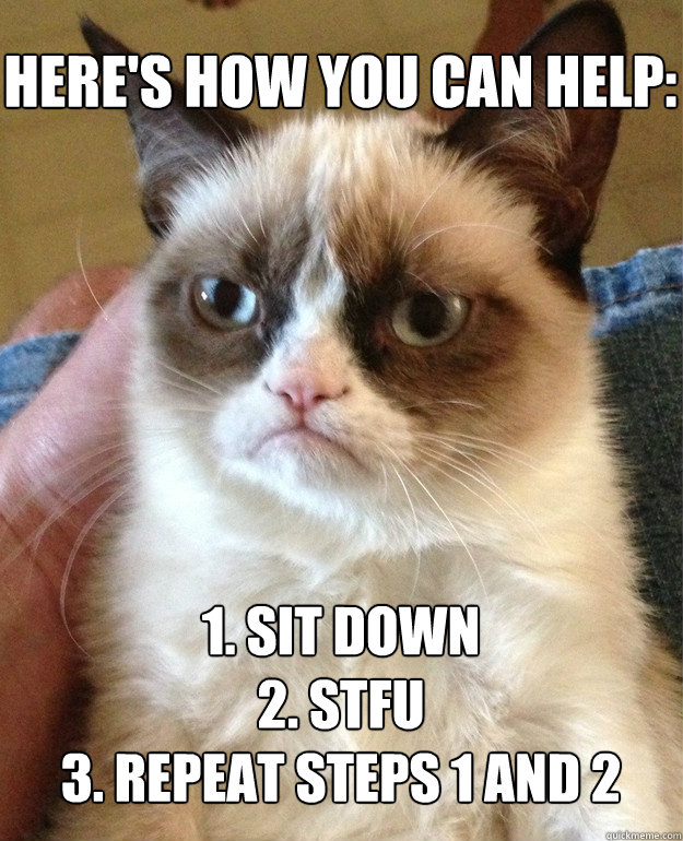 here's how you can help: 1. sit down
2. STFU
3. repeat steps 1 and 2  Grumpy Cat