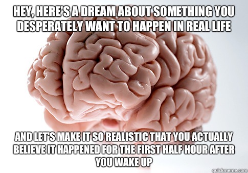 Hey, here's a dream about something you desperately want to happen in real life And let's make it so realistic that you actually believe it happened for the first half hour after you wake up  Scumbag Brain