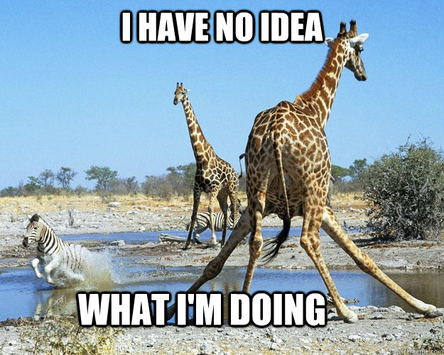 I have no idea what i'm doing  Dumb Giraffe