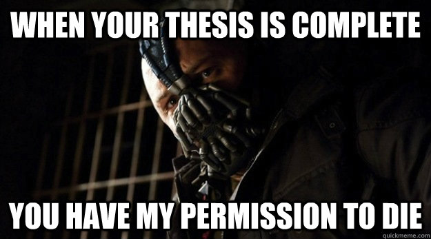 Meme essay writing Meme essay writing image