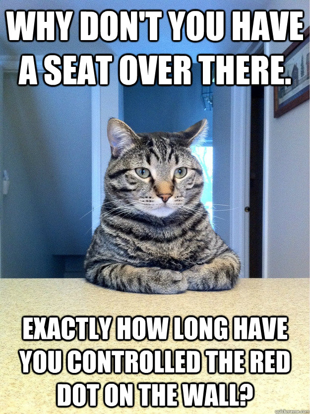 Why don't you have a seat over there. Exactly How long have you controlled the red dot on the wall?  Chris Hansen Cat