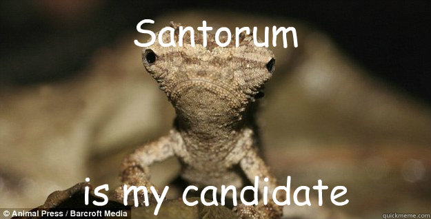 Santorum  is my candidate     