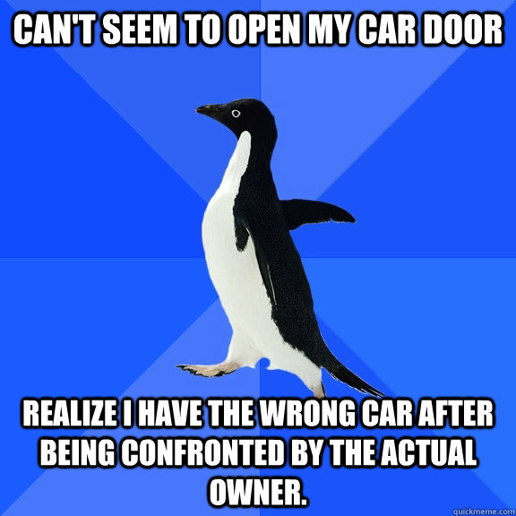 Can't seem to open my car door Realize I have the wrong car after being confronted by the actual owner.  Socially Awkward Penguin