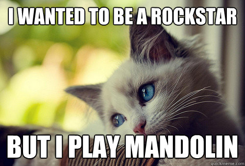 I wanted to be a rockstar but i play mandolin   First World Problems Cat