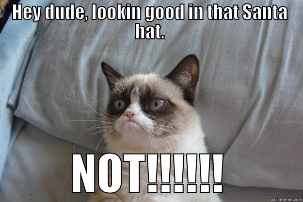 HEY DUDE, LOOKIN GOOD IN THAT SANTA HAT.  Grumpy Cat