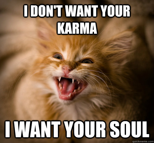 I don't want your karma i want your soul  Evil Kitten