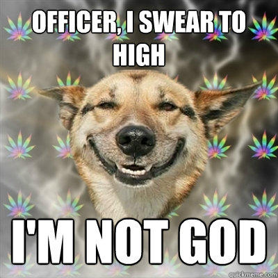 Officer, I swear to high i'm not god  