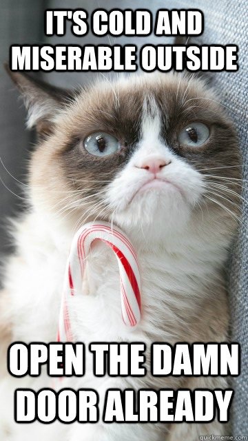 it's cold and miserable outside open the damn door already - it's cold and miserable outside open the damn door already  Candy cane grumpy cat