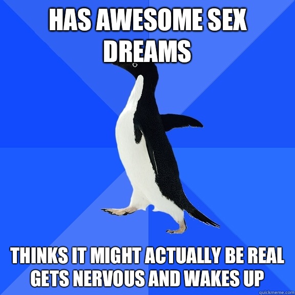 has awesome sex dreams thinks it might actually be real gets nervous and wakes up  Socially Awkward Penguin