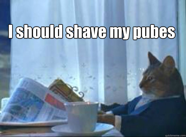 I should shave my pubes   I should buy a boat cat
