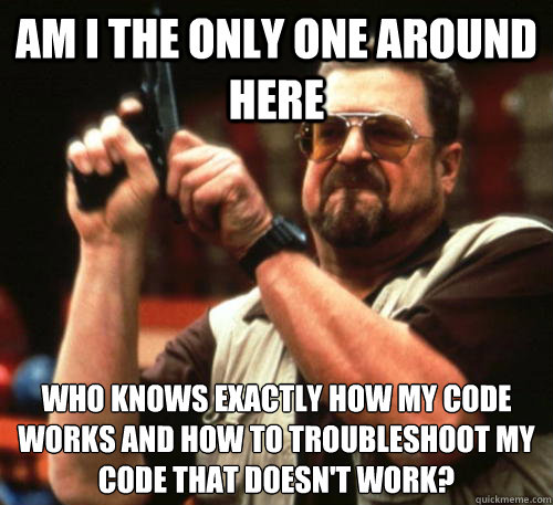 Am i the only one around here Who knows exactly how my code works and how to troubleshoot my code that doesn't work?  Am I The Only One Around Here