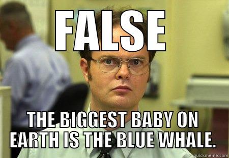 FALSE THE BIGGEST BABY ON EARTH IS THE BLUE WHALE. Schrute