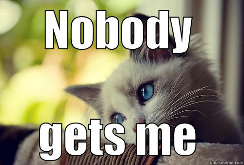 NOBODY GETS ME First World Problems Cat