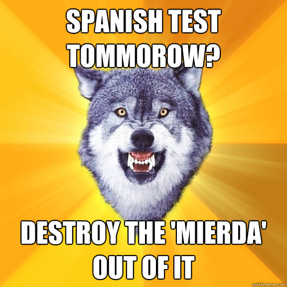 Spanish test tommorow? destroy the 'mierda' out of it  Courage Wolf