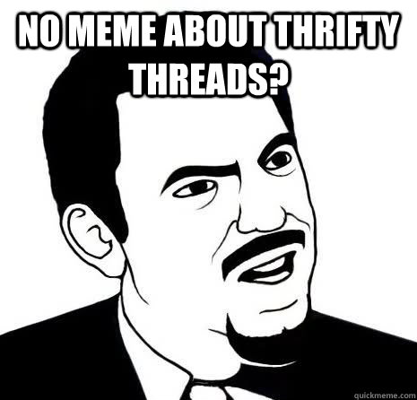 no meme about thrifty threads?   Seriously Are You Serious