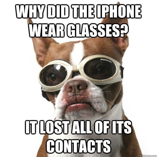 why did the iphone wear glasses? it lost all of its contacts  Glasses Dog