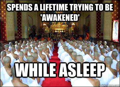 spends a lifetime trying to be 'awakened' while asleep - spends a lifetime trying to be 'awakened' while asleep  Buddhist Logic