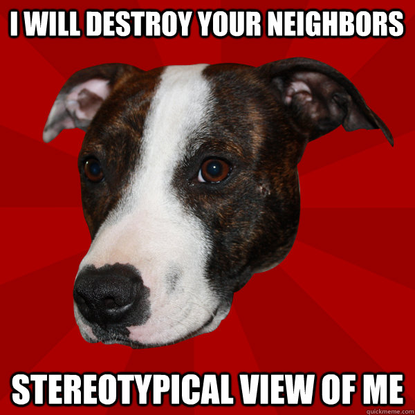 i will destroy your neighbors stereotypical view of me  Vicious Pitbull Meme
