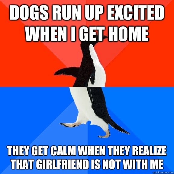 Dogs run up excited when I get home  They get calm when they realize that girlfriend is not with me  Socially Awesome Awkward Penguin