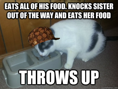 Eats all of his food. Knocks sister out of the way and eats her food Throws up  Scumbag Cat