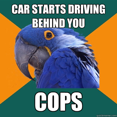 Car starts driving behind you Cops  Paranoid Parrot