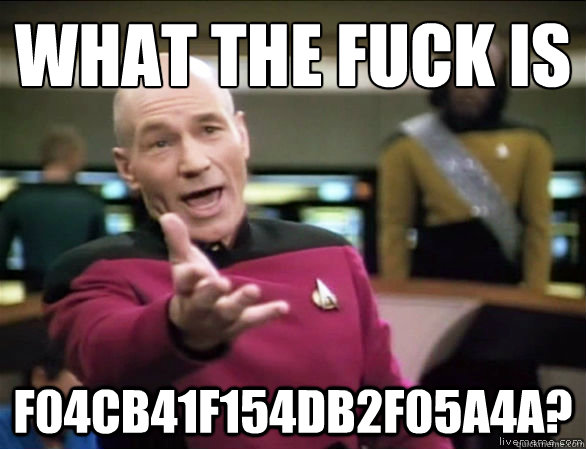 What the fuck is f04cb41f154db2f05a4a?  Annoyed Picard HD