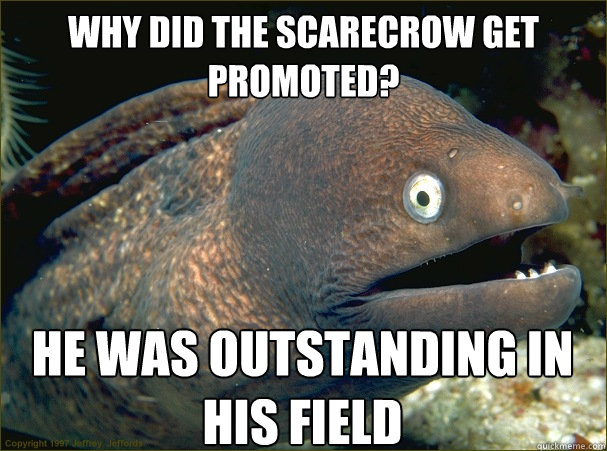 Why did the scarecrow get promoted? He was outstanding in his field  Bad Joke Eel