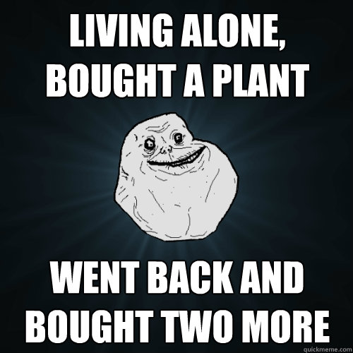 Living alone, bought a plant Went back and bought two more  Forever Alone