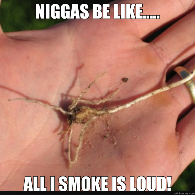 NIGGAS BE LIKE..... ALL I SMOKE IS LOUD!  