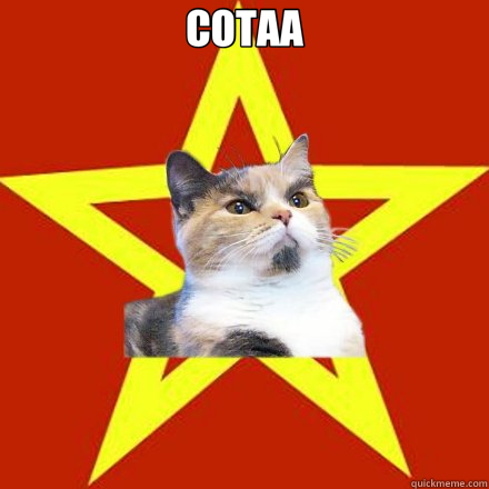 COTAA   Lenin Cat