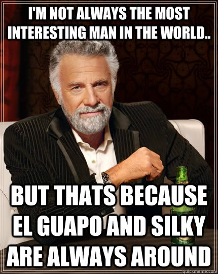 I'm not always the most interesting man in the world.. but thats because El Guapo and Silky are always around  The Most Interesting Man In The World