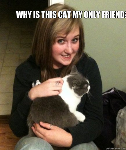 Why is this cat my only friend? - Why is this cat my only friend?  Loser