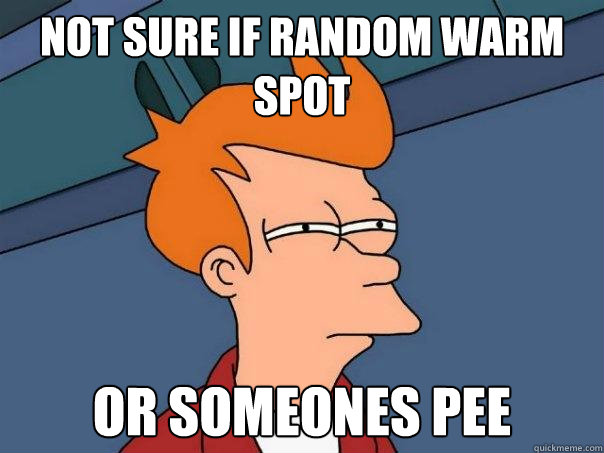 not sure if random warm spot Or someones pee  Futurama Fry