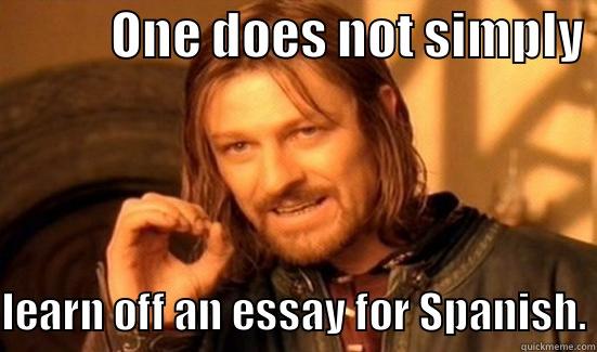            ONE DOES NOT SIMPLY LEARN OFF AN ESSAY FOR SPANISH. Boromir