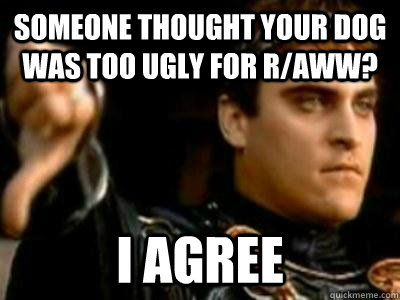 Someone thought your dog was too ugly for r/aww? I agree  Downvoting Roman