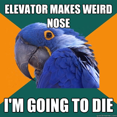Elevator makes weird nose I'M GOING TO DIE  Paranoid Parrot