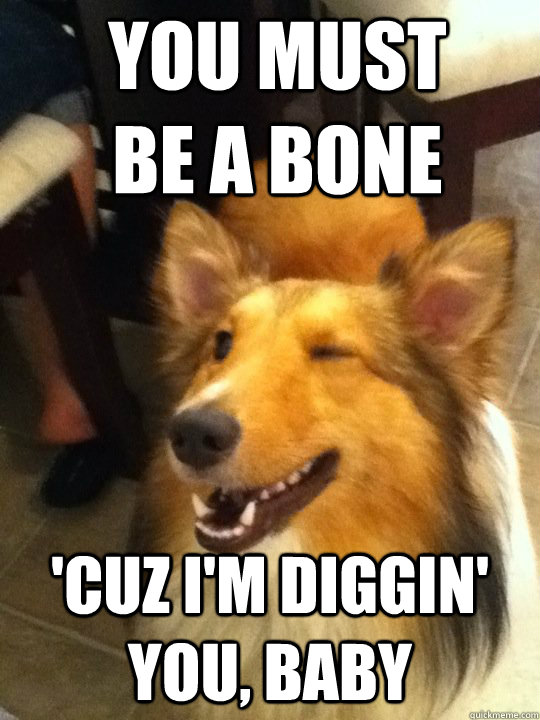 You must be a bone 'Cuz I'm diggin' you, baby - You must be a bone 'Cuz I'm diggin' you, baby  Smooth Operator Lassie