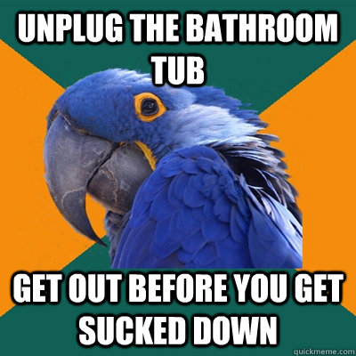 Unplug the bathroom tub Get out before you get sucked down  Paranoid Parrot