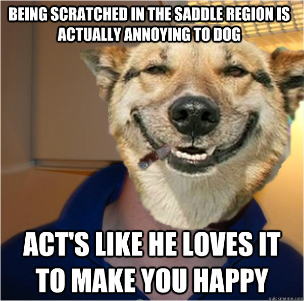 Being scratched in the saddle region is actually annoying to Dog Act's like he loves it to make you happy - Being scratched in the saddle region is actually annoying to Dog Act's like he loves it to make you happy  Good Dog Greg