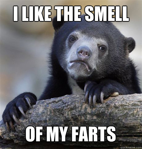 I like the smell of my farts  Confession Bear