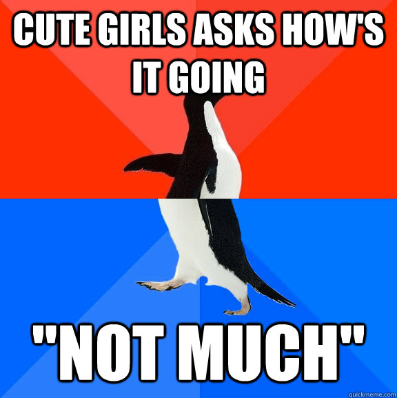 Cute girls asks how's it going 