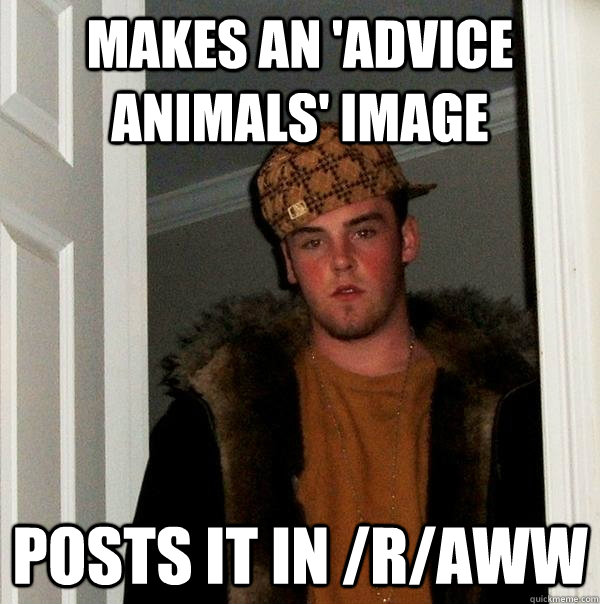 Makes an 'advice animals' image posts it in /r/aww  Scumbag Steve