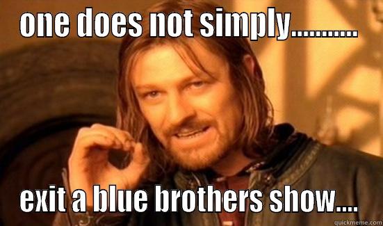 ONE DOES NOT SIMPLY........... EXIT A BLUE BROTHERS SHOW.... Boromir
