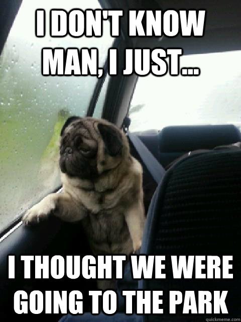 I don't know man, i just... i thought we were going to the park - I don't know man, i just... i thought we were going to the park  introspective pug on cesar millan