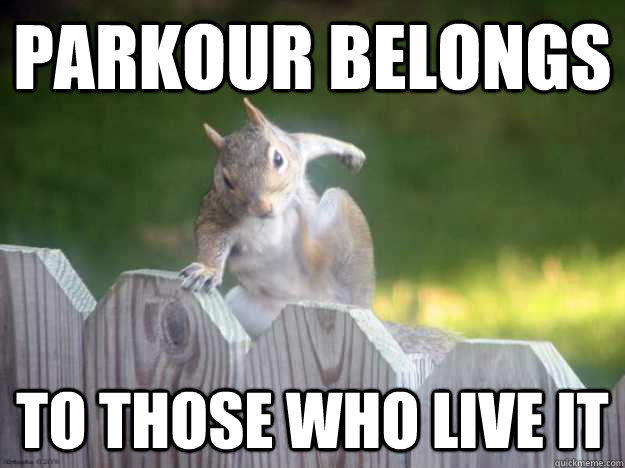 Parkour belongs  to those who live it  Squirrel Parkour